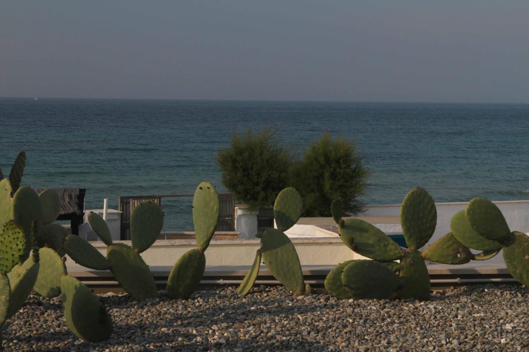 Beauty Beach Villa Monopoli Dış mekan fotoğraf